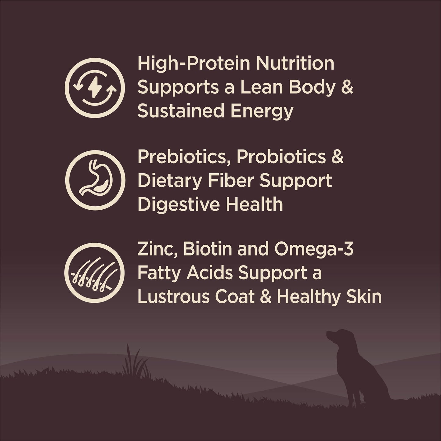 Wellness CORE Dry Dog Food, Small Breed, Grain Free, High Protein, Natural, Original Turkey & Chicken Recipe, (12-Pound Bag)