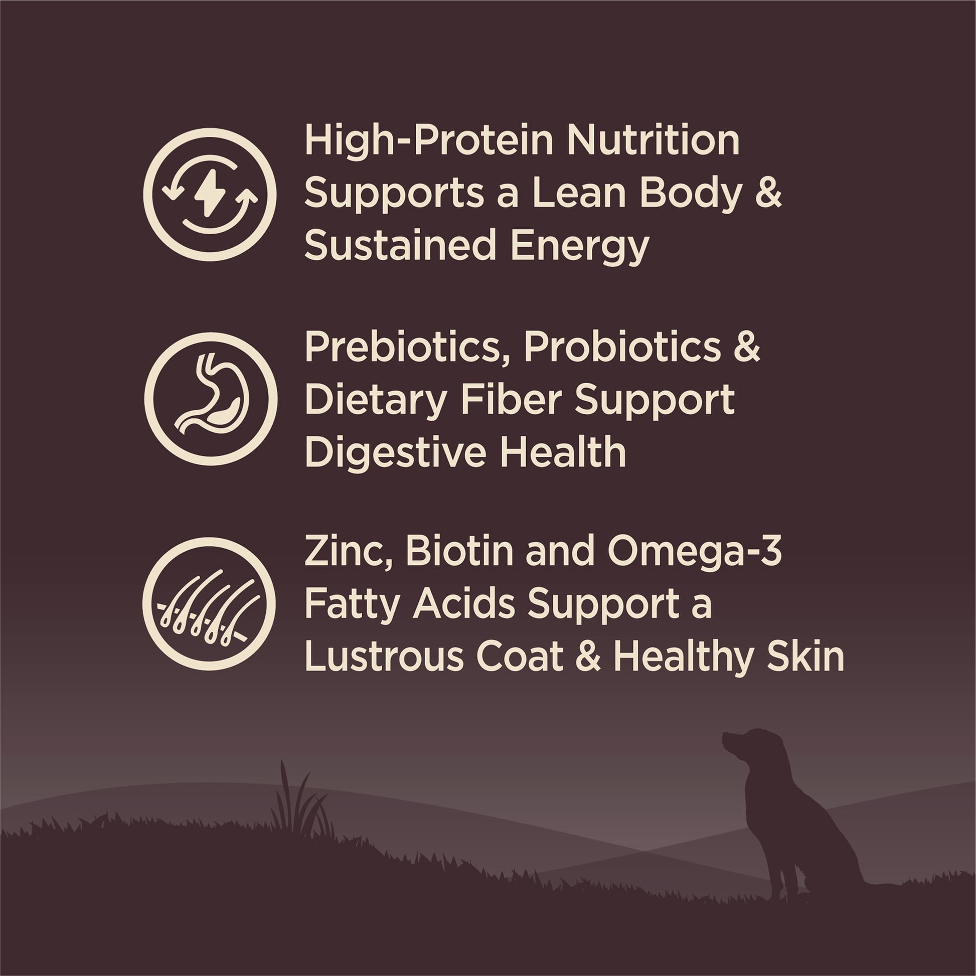 Wellness CORE Dry Dog Food, Small Breed, Grain Free, High Protein, Natural, Original Turkey & Chicken Recipe, (12-Pound Bag)