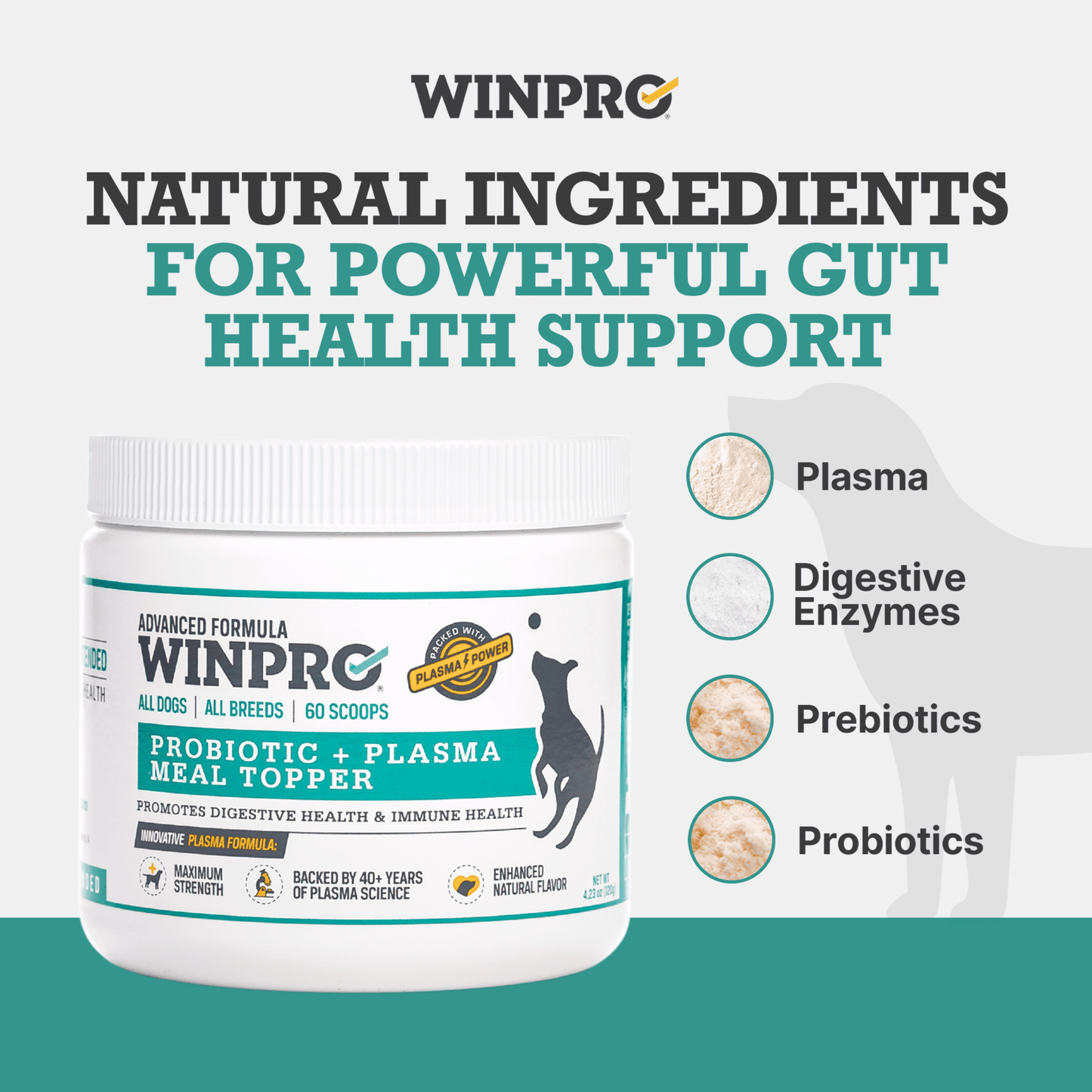 WINPRO Dog Prebiotic + Probiotic Powder Meal Topper - Support for Dog Gut Health, Immunity, and Seasonal Allergies - All Breeds, Ages, and Sizes - Made In The USA - 60 Scoops