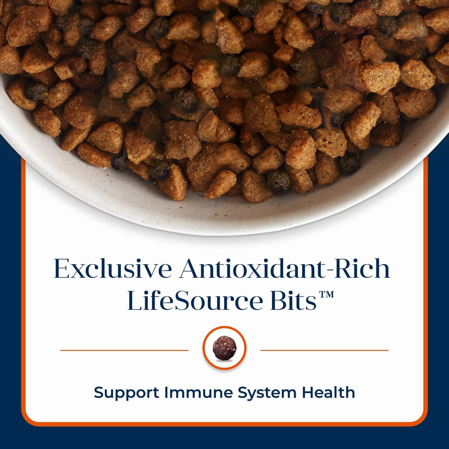 Blue Buffalo Basics Grain-Free Large Breed Adult Dry Dog Food, Limited Ingredient Diet, Turkey, 24 lbs.