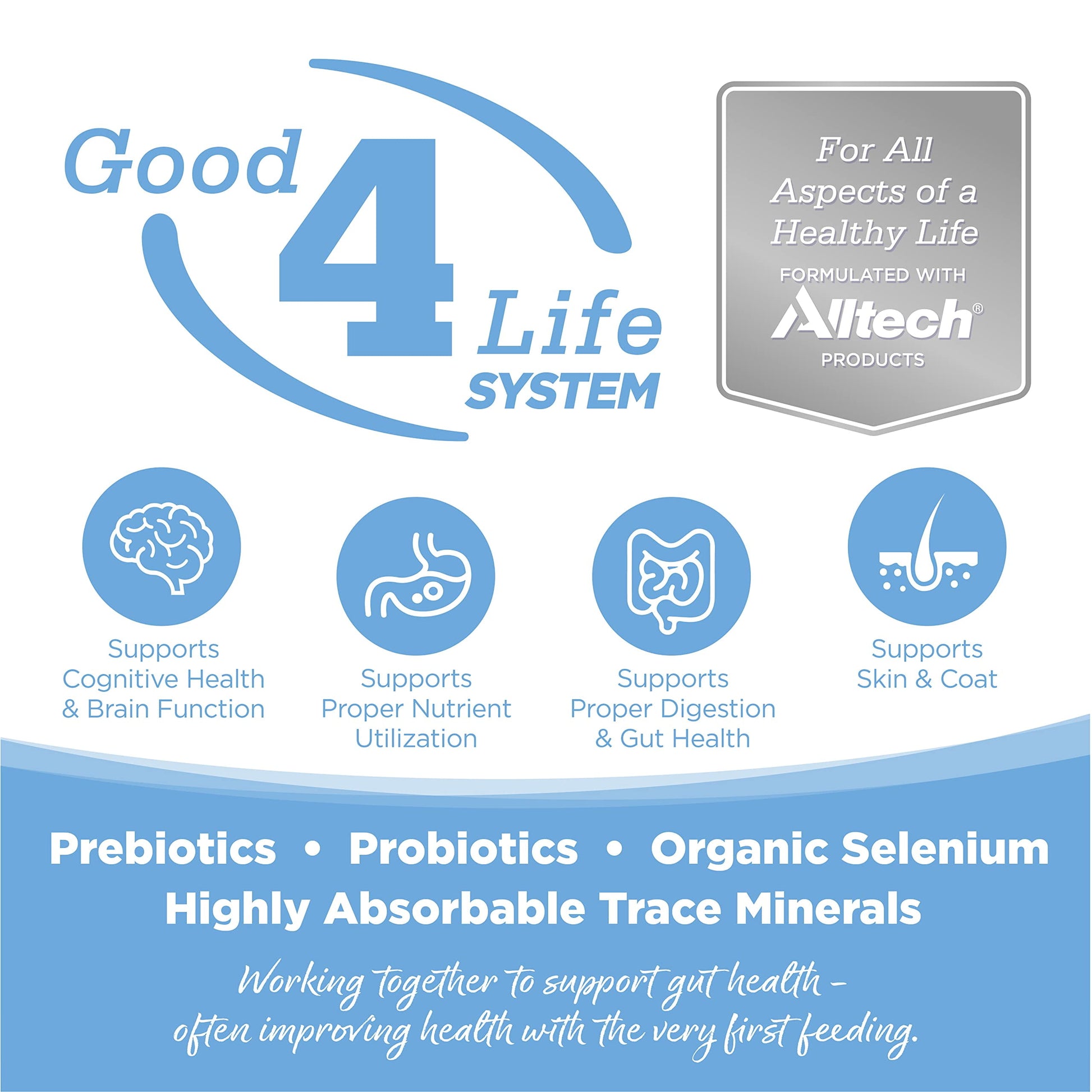 NutriSource Large Breed For All Life Stages Trout & Rice Recipe Dog Food 26 lb