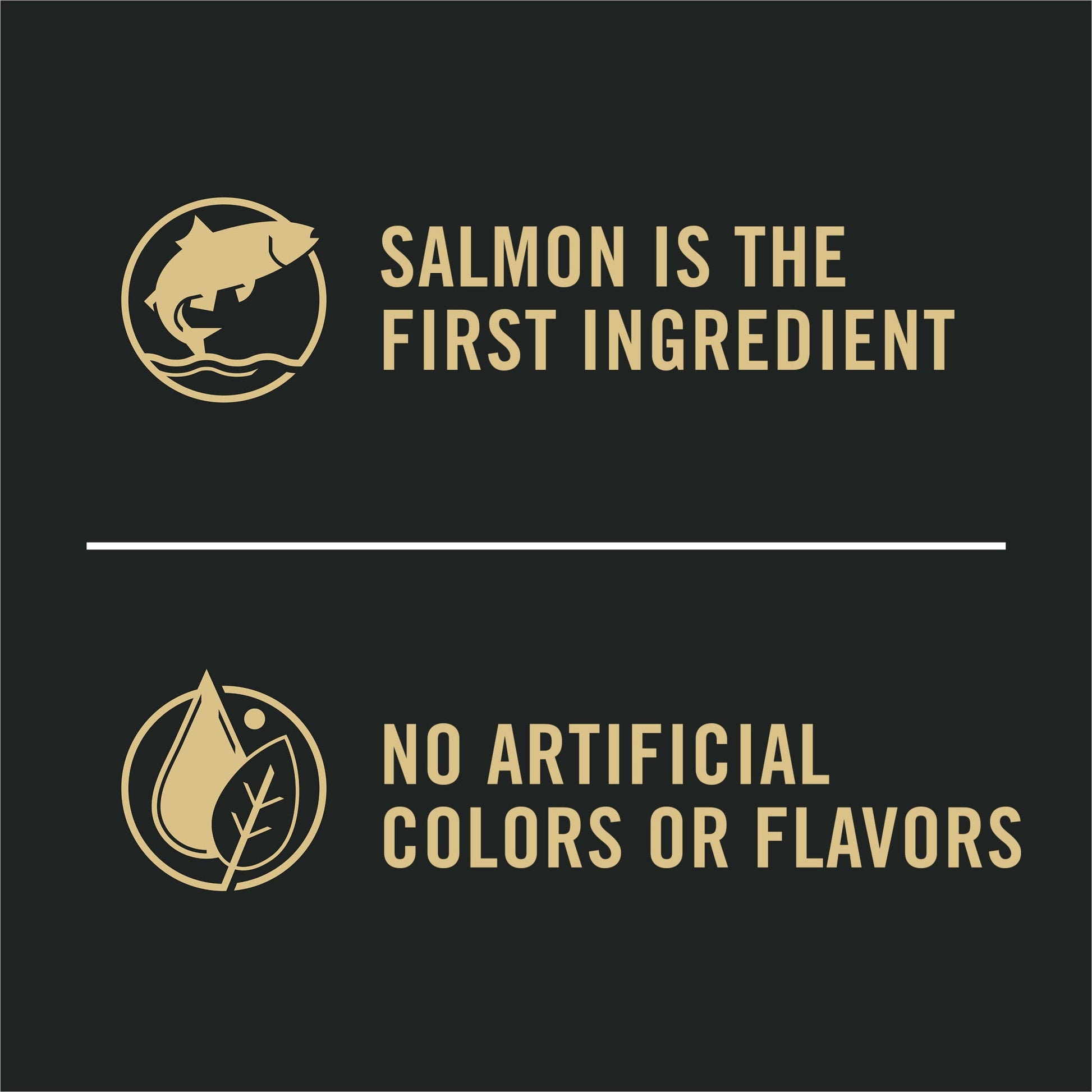 Purina Pro Plan Complete Essentials Shredded Blend Salmon and Rice Dry Dog Food Formula with Probiotics for Dogs, 5 lb Bag