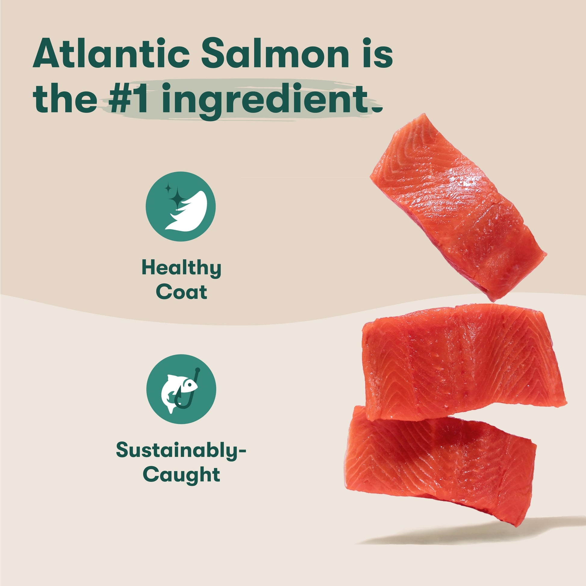 Jinx Small Breed Sweet Potato, & Carrot Dry Dog Food, Grain Free, 4lb. Bag