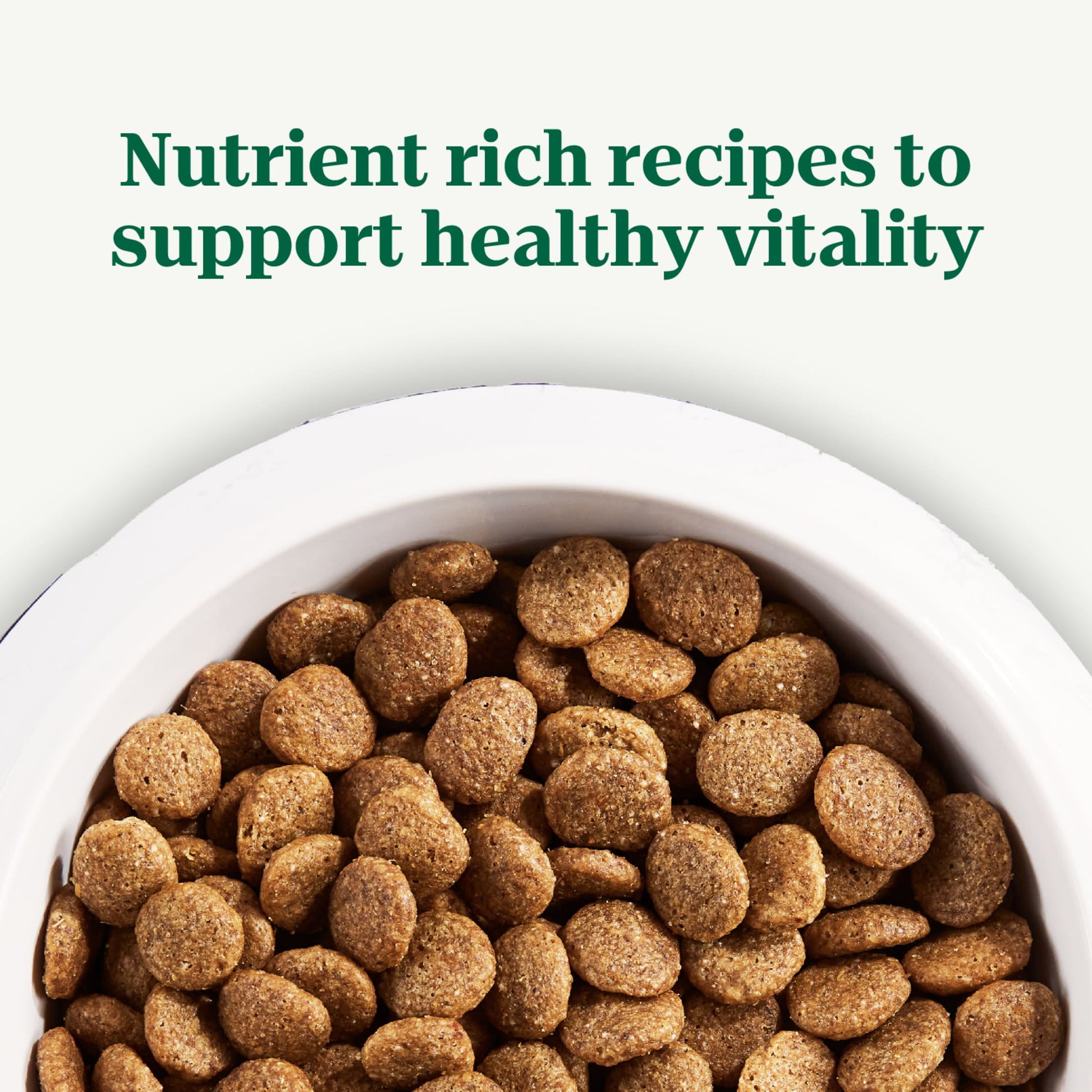 Nutro Natural Choice Large Breed Puppy Dry Dog Food, Chicken And Brown Rice, 30 Lbs.