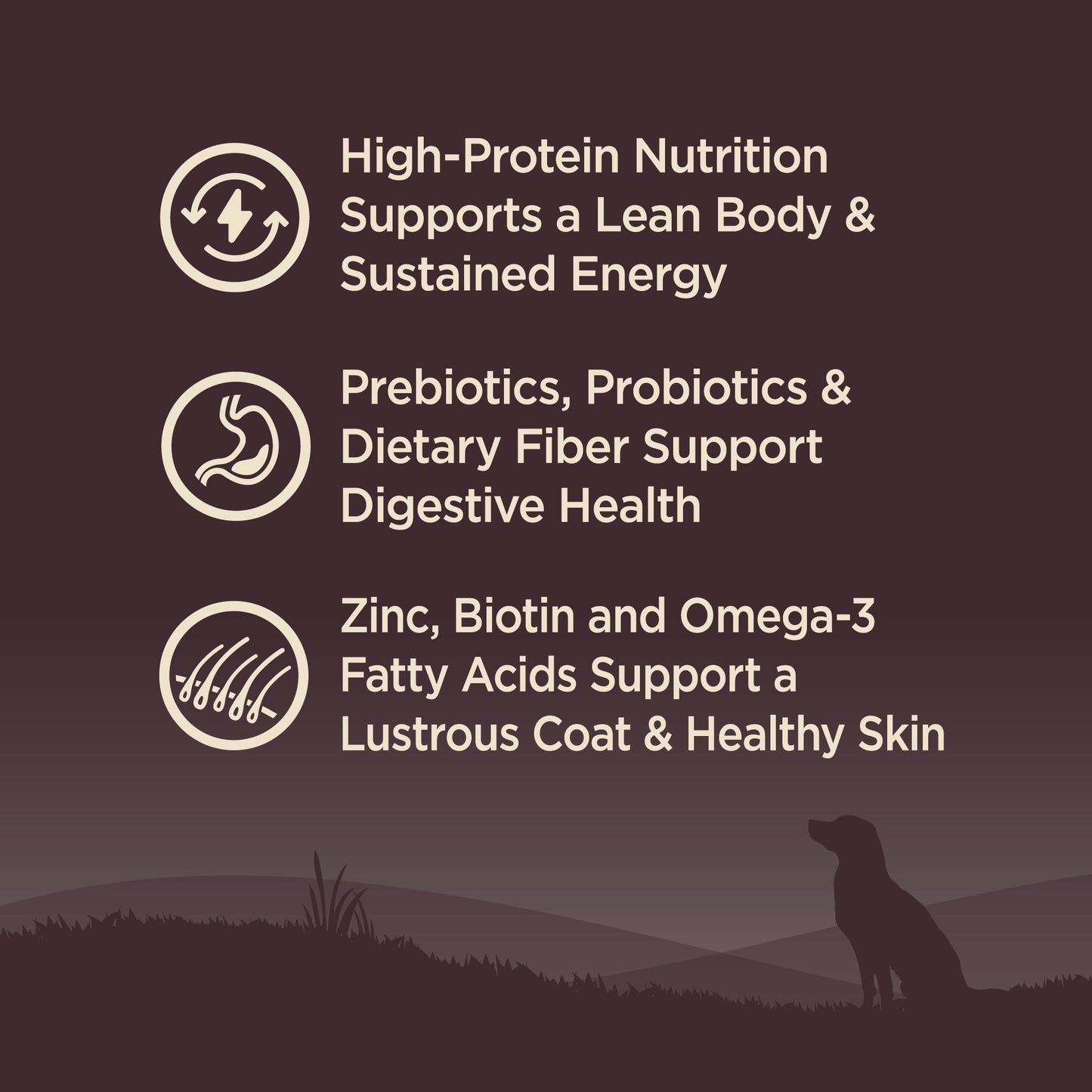 Wellness CORE Natural Grain Free Dry Dog Food, Lamb, 22-Pound Bag