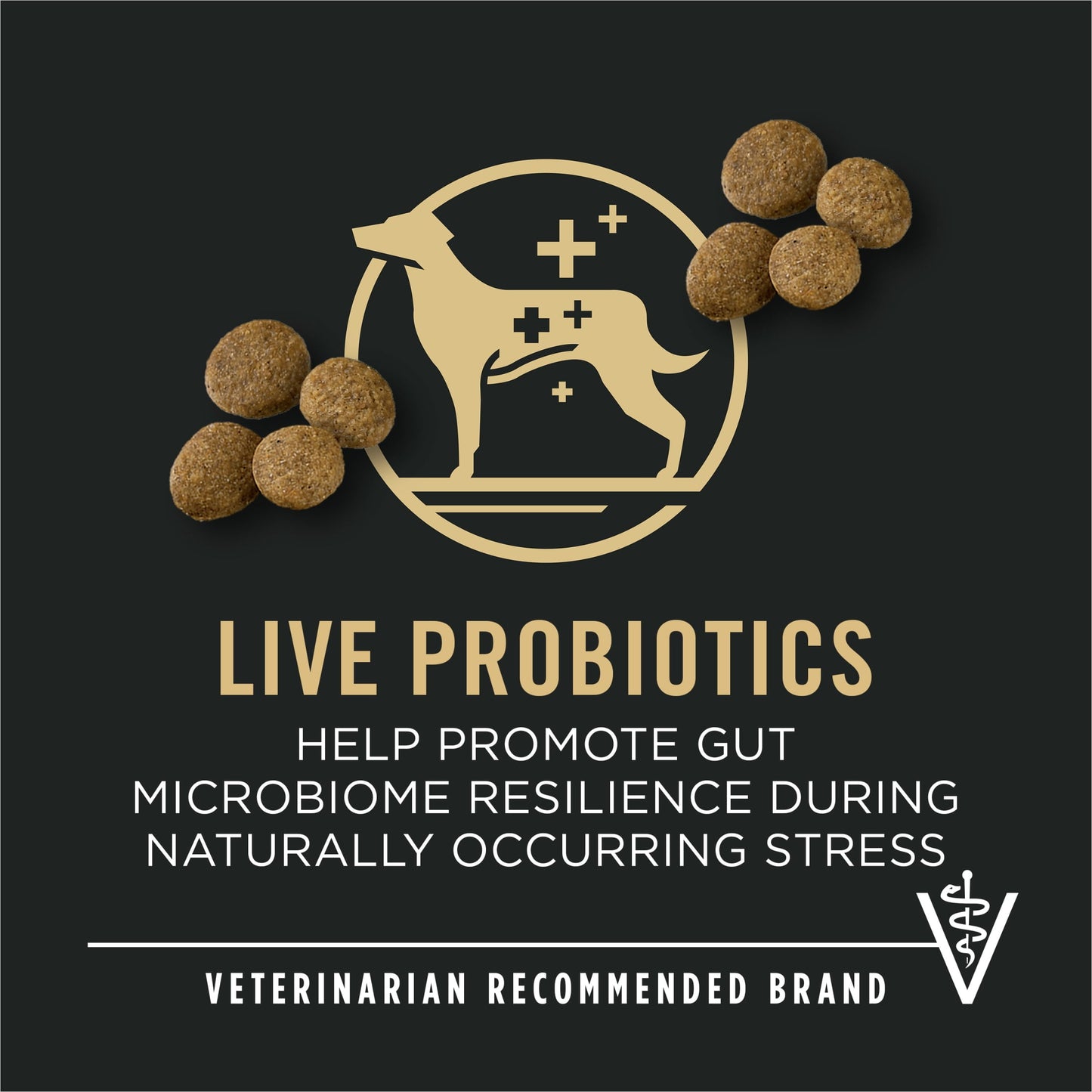 Purina Pro Plan Large Breed Dry High Protein Dog Food with Probiotics for Dogs, Beef and Rice Formula, 47 lb Bag