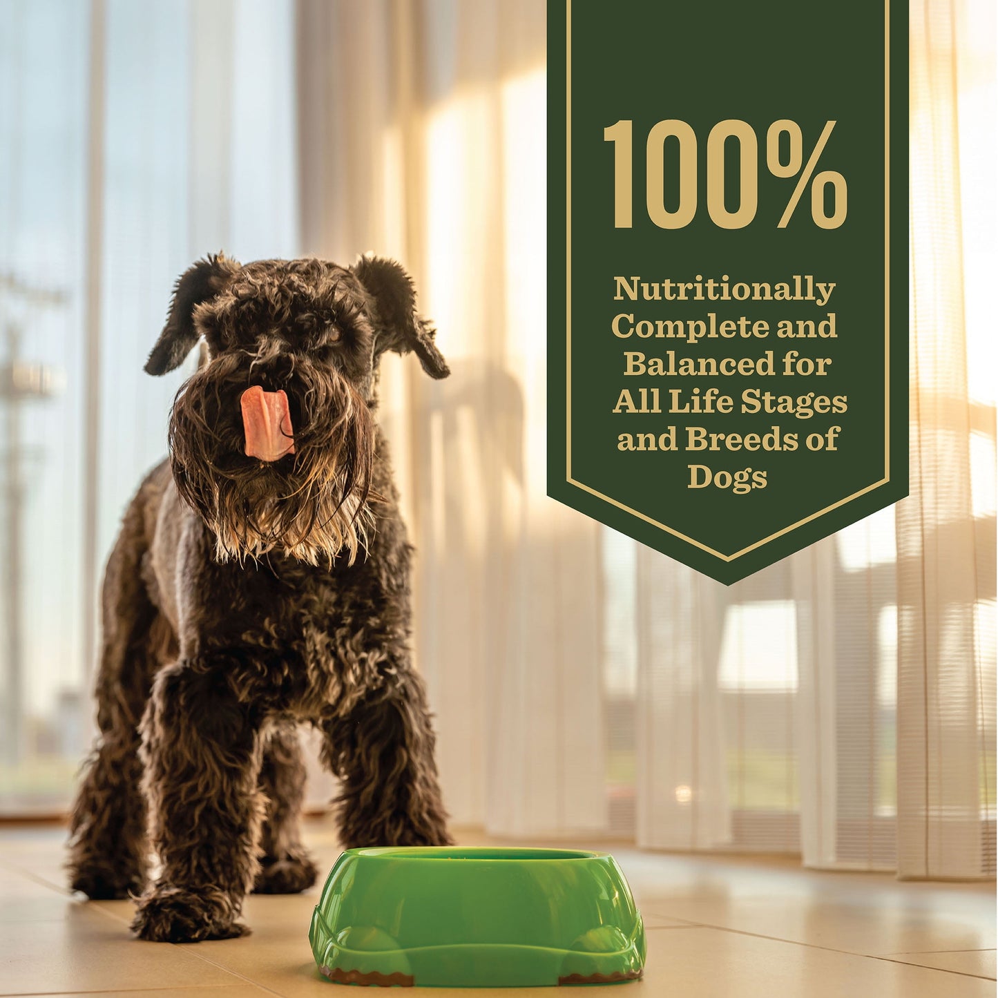 Dr. Pol Incredi-Pol Favorites Lamb and Brown Rice Recipe Dog Food - 24lb