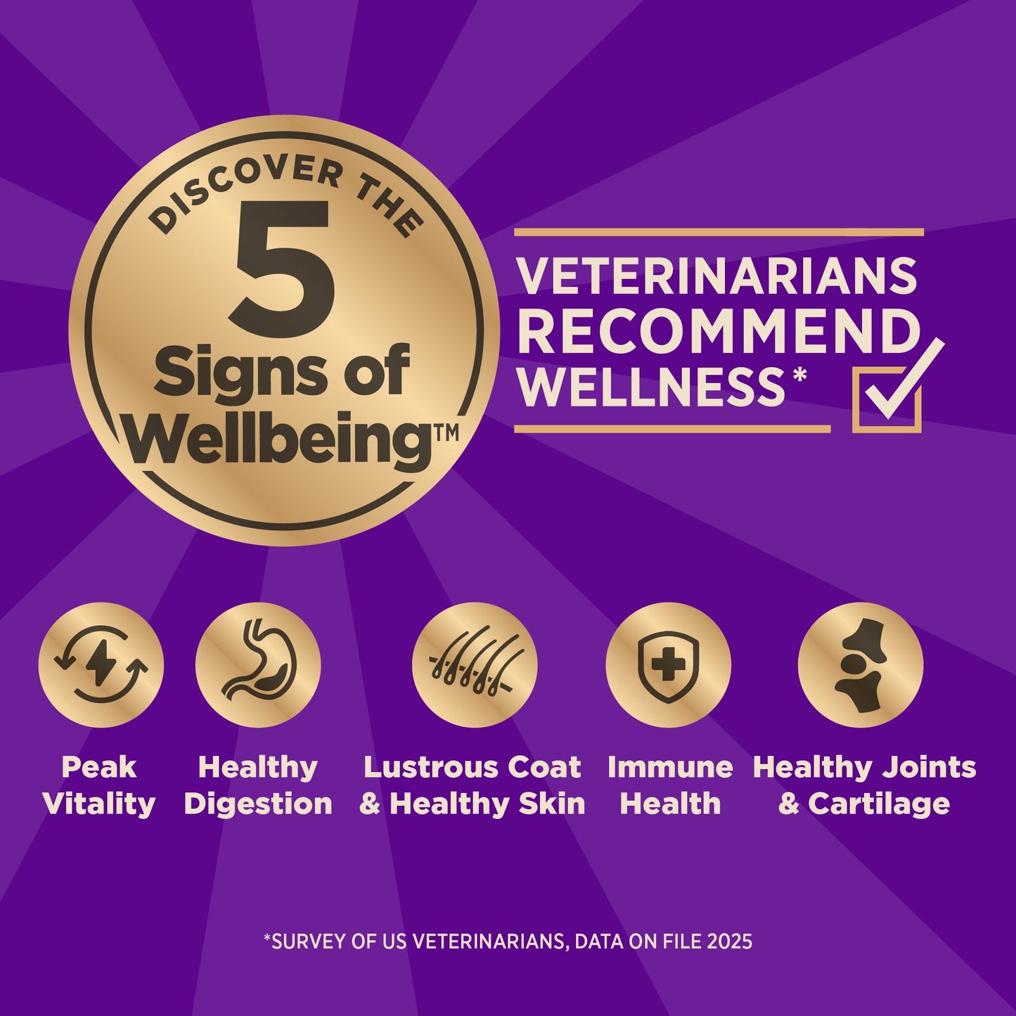 Wellness CORE+ Dry Dog Food with Freeze Dried Pieces, Grain Free, High Protein, Natural, Wild Game Duck, Lamb, Wild Boar, & Rabbit Recipe, (18-Pound Bag)