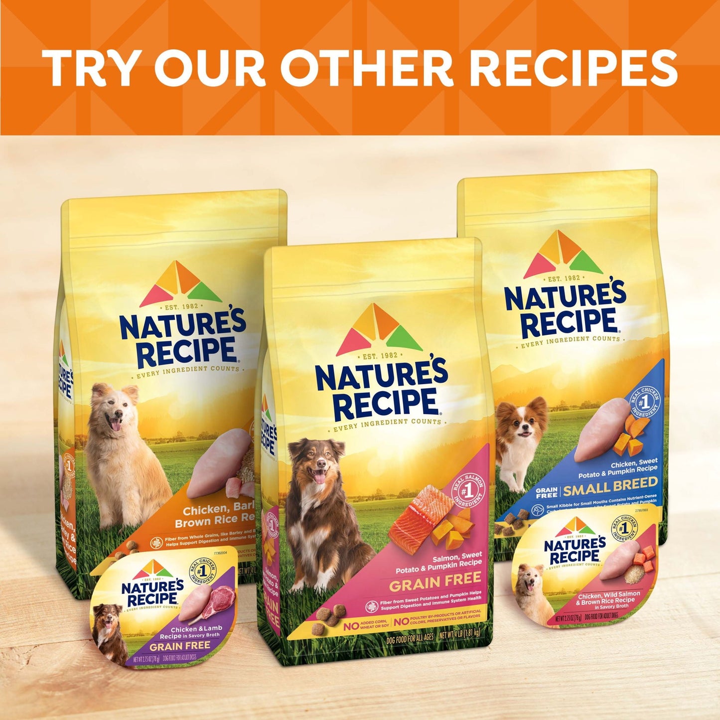 Nature’s Recipe Grain Free Salmon, Sweet Potato & Pumpkin Recipe Dry Dog Food, 12 lb. Bag