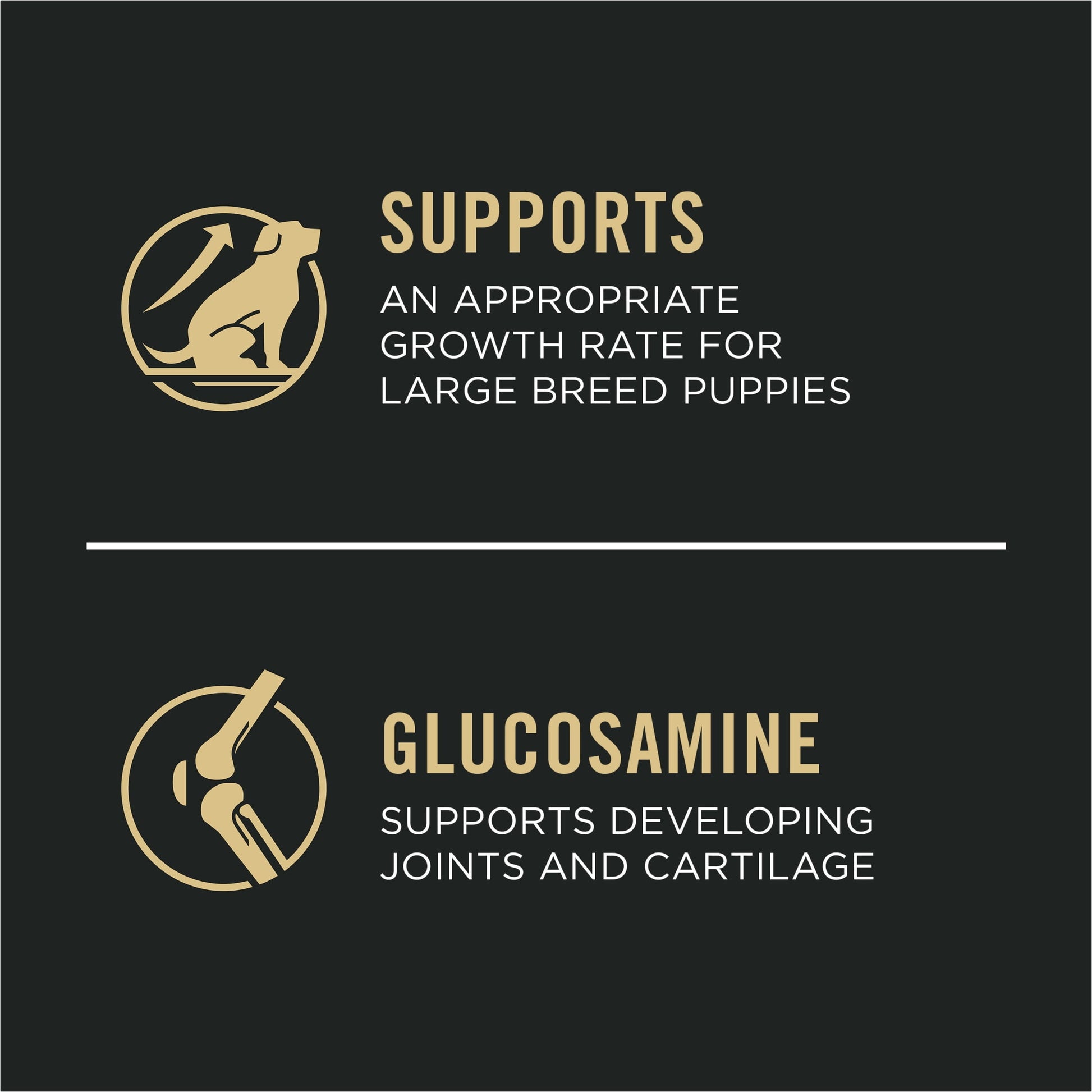 Purina Pro Plan Puppy Dry Dog Food for Large Dogs Under 2 Years, Real Chicken & Rice, 34 lb Bag