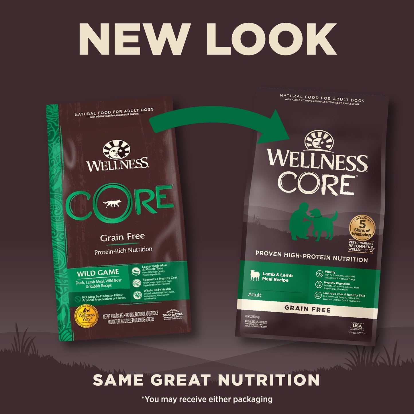 Wellness CORE Natural Grain Free Dry Dog Food, Lamb, 22-Pound Bag