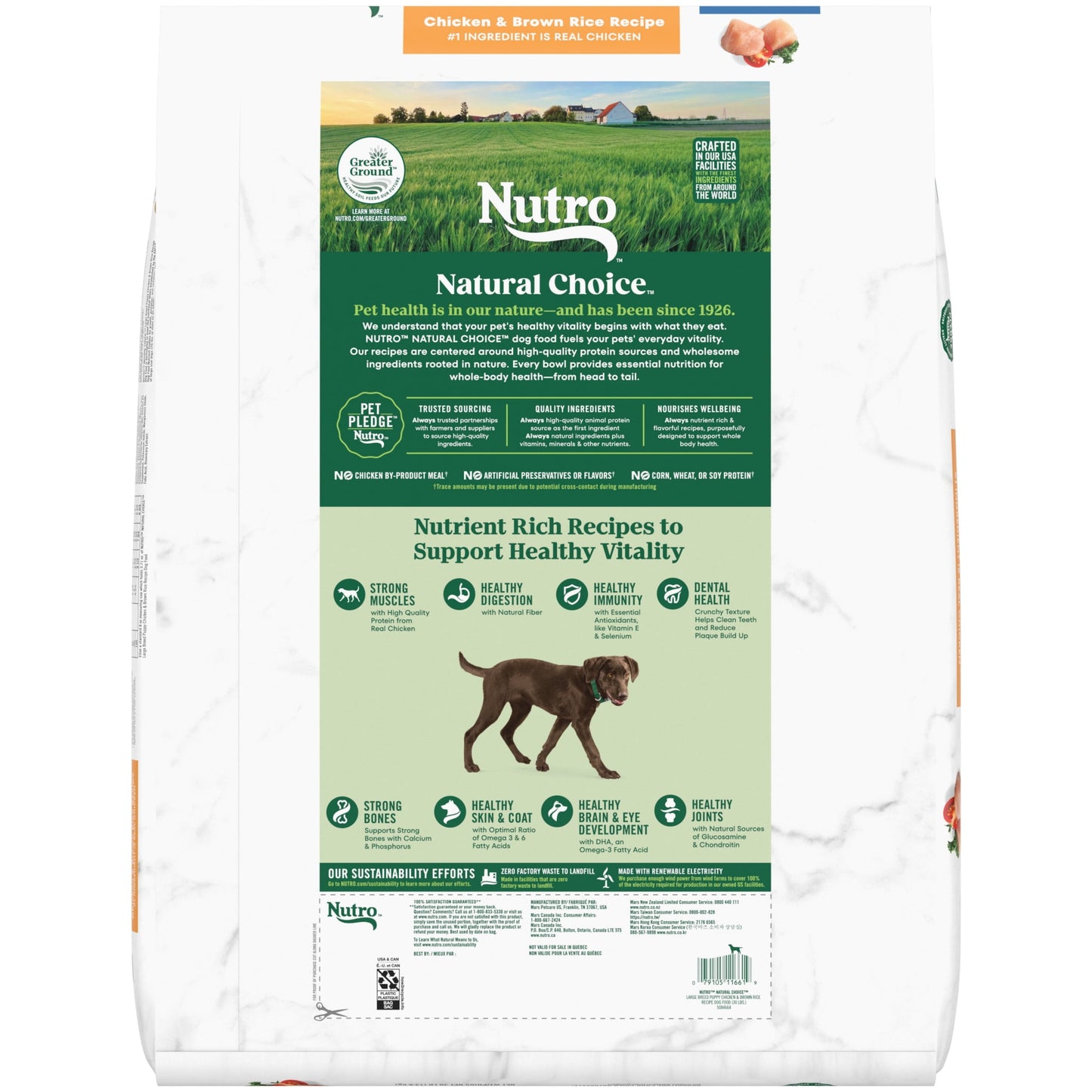 Nutro Natural Choice Large Breed Puppy Dry Dog Food, Chicken And Brown Rice, 30 Lbs.