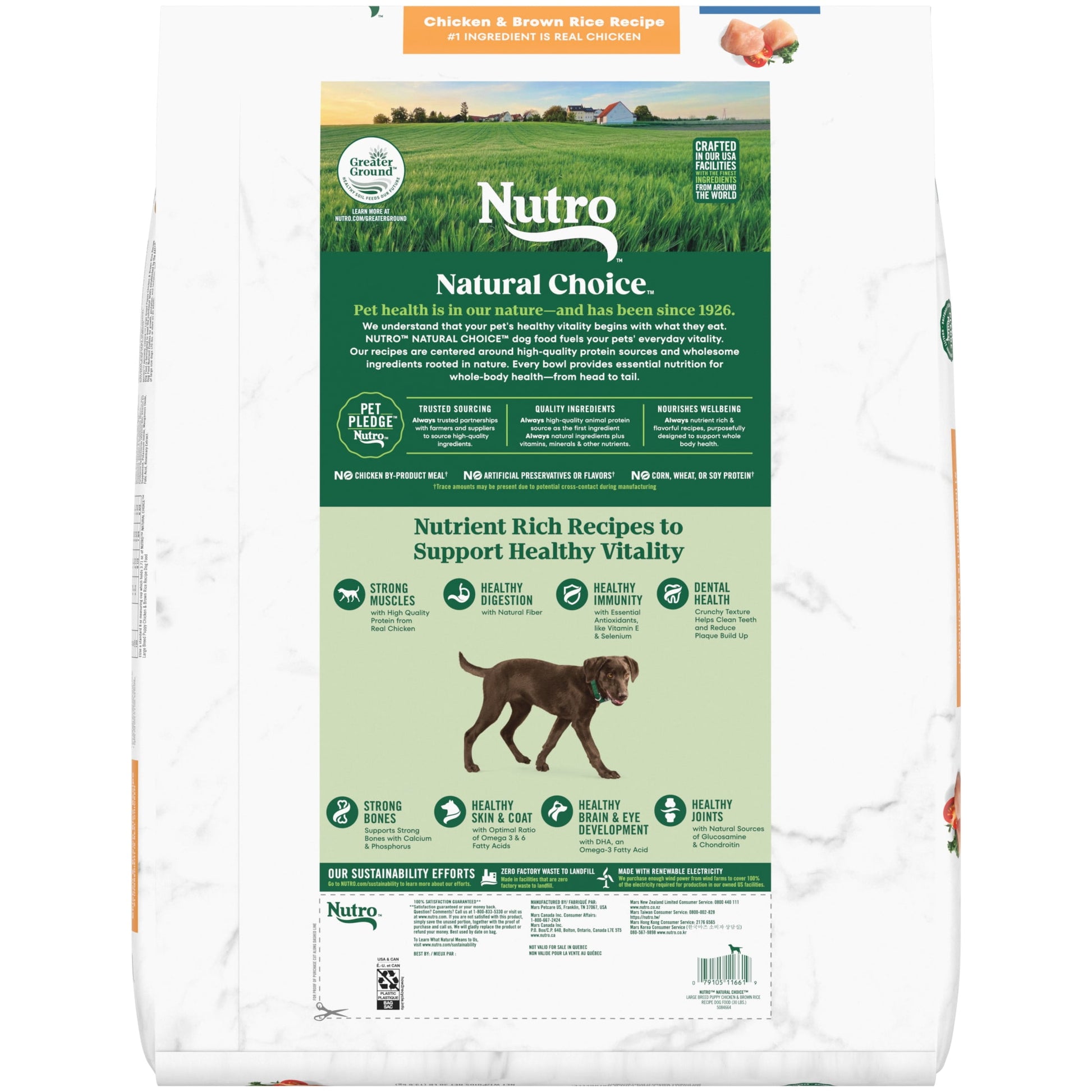 Nutro Natural Choice Large Breed Puppy Dry Dog Food, Chicken And Brown Rice, 30 Lbs.