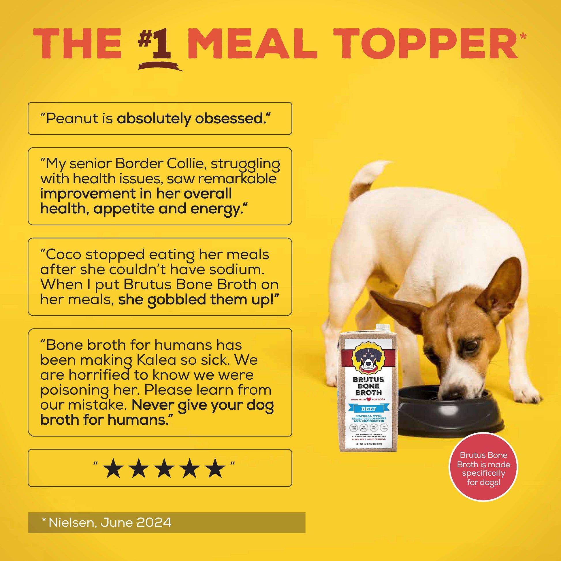 Brutus Bone Broth Beef for Dogs - 32 oz, All Natural Human Grade Dog Food Topper with Chondroitin Glucosamine Turmeric, Great for Picky Eaters & Dry Food, Tasty & Nutritious