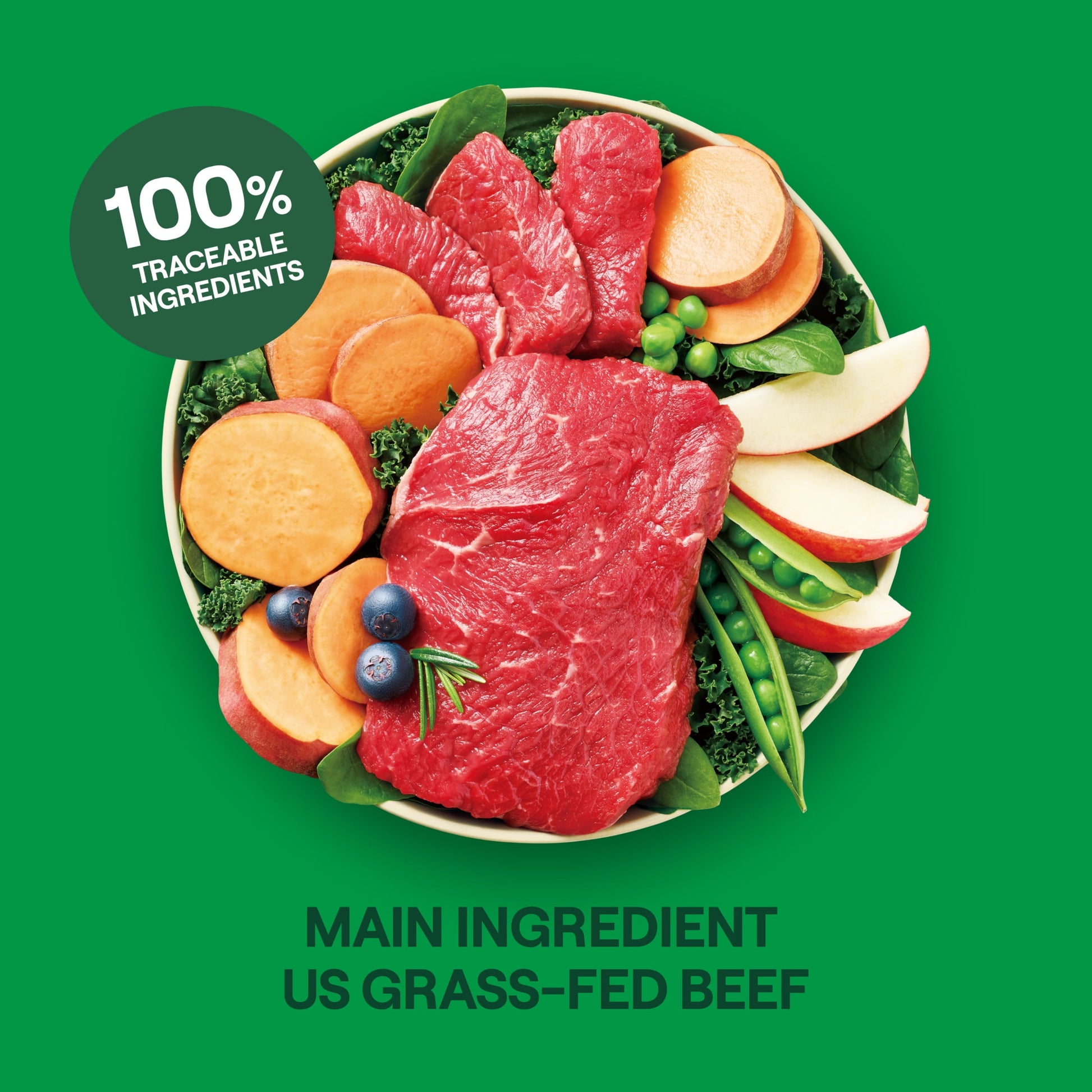 Goodlands Grass-Fed Beef & Vegetable Flavor, Dry Adult Dog Food with Probiotics, 6 lb Bag