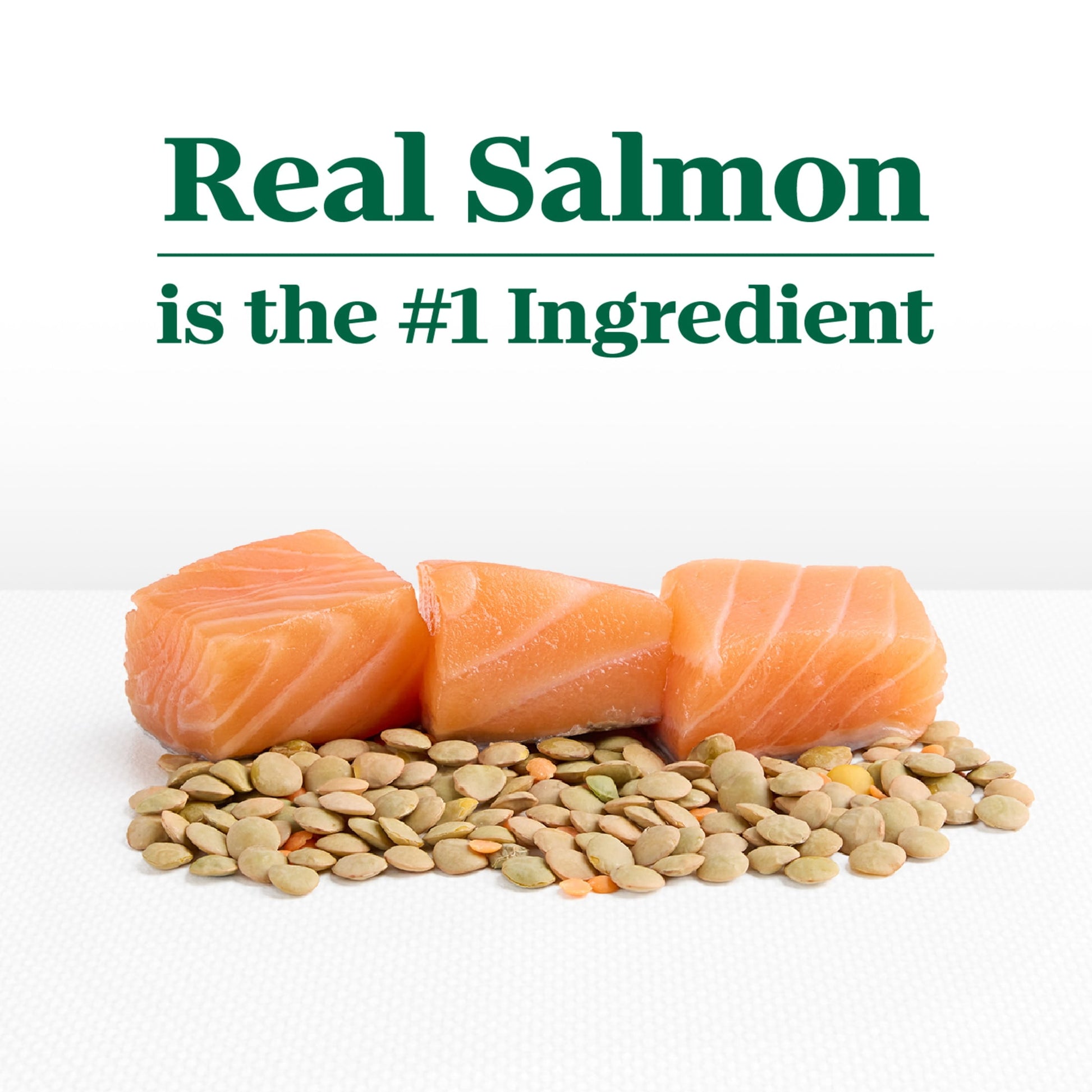 Nutro Limited Ingredient Diet Dry Dog Food, Salmon & Lentils Recipe, 22 Lbs.