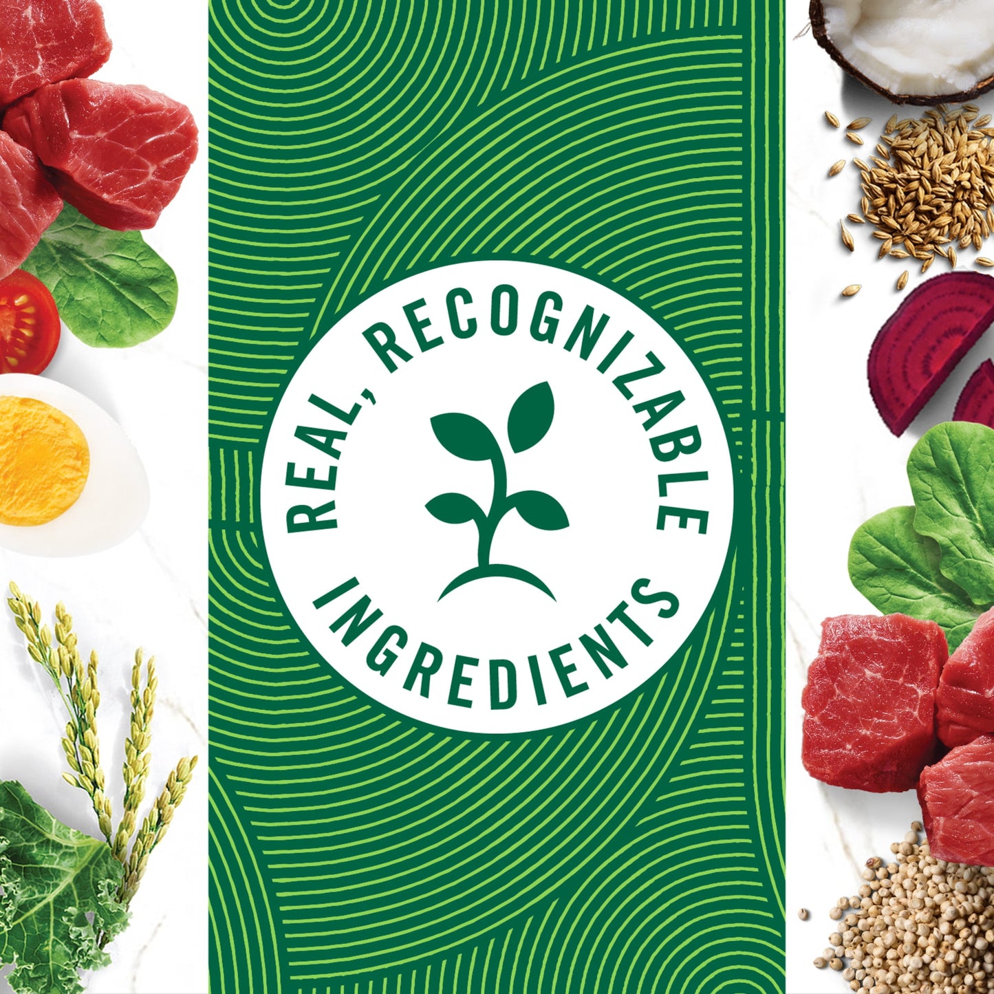 Nutro Natural Choice Small Bites Adult Dry Dog Food, Lamb And Brown Rice Recipe, 30 Lbs.